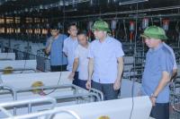PHÓ CHỦ TỊCH UBND TỈNH CAO VĂN CƯỜNG KIỂM TRA TIẾN ĐỘ CÁC DỰ ÁN CHĂN NUÔI TRỌNG ĐIỂM
