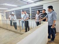 KIỂM TRA TIẾN ĐỘ DỰ ÁN KHU TRANG TRẠI SẢN XUẤT, KINH DOANH GIỐNG LỢN VÀ CHĂN NUÔI LỢN THƯƠNG PHẨM CHẤT LƯỢNG CAO NEWHOPE ĐỒNG TH